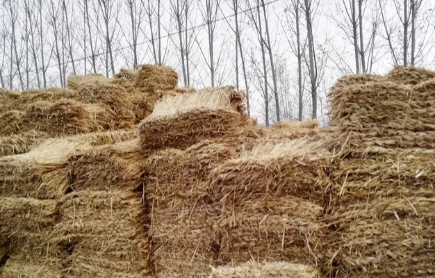 寧夏午夜香蕉福利视频廠家