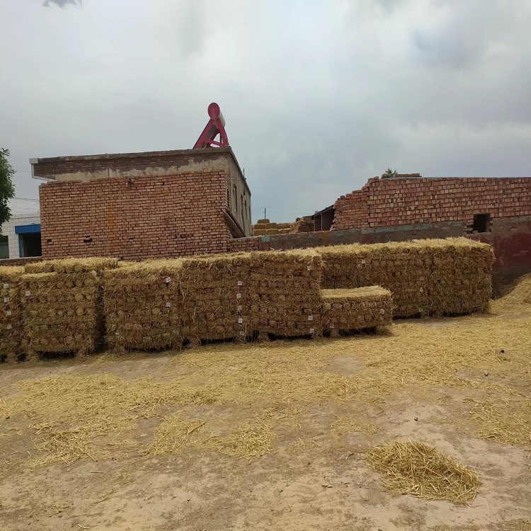 寧夏香蕉网在线播放子