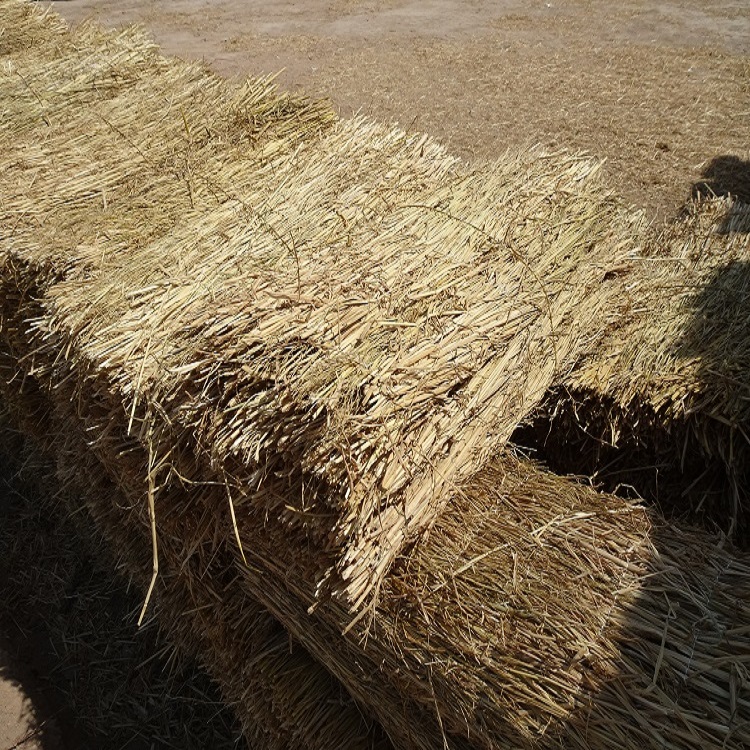 寧夏香蕉网在线播放廠家批發 寧夏香蕉网在线播放廠家批發