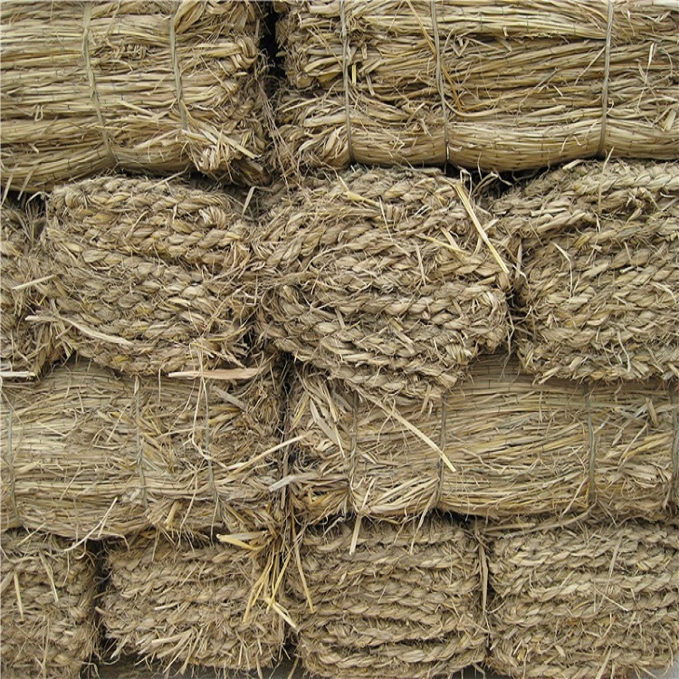 寧夏午夜香蕉福利视频定製