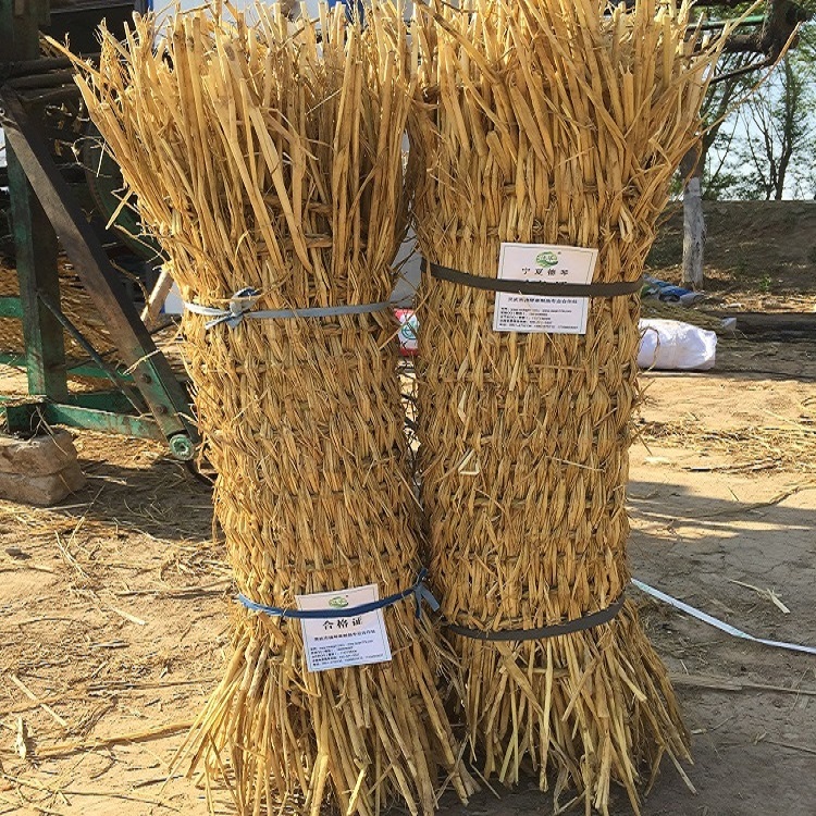 寧夏香蕉网在线播放子