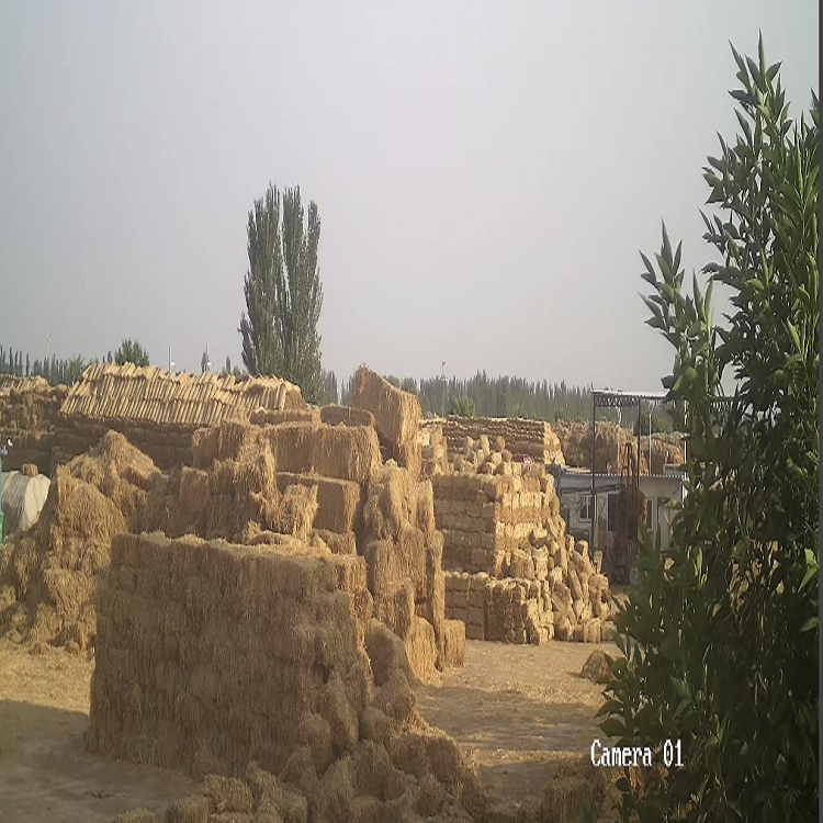 寧夏香蕉网在线播放廠家