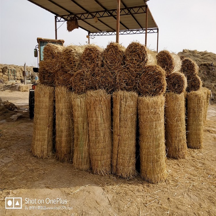 寧夏香蕉网在线播放廠家